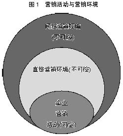 营销决策与企业营销环境的适配研究_调研文库