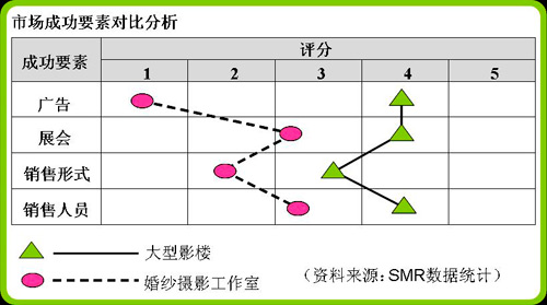 婚纱行业分析_动漫婚纱情侣头像(3)